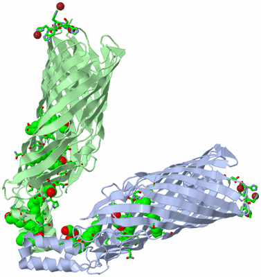 Image Asym. Unit - sites