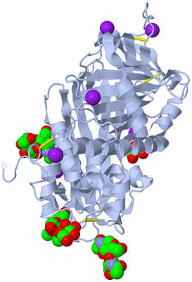 Image Biological Unit 1