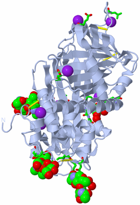 Image Biol. Unit 1 - sites