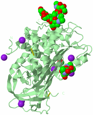 Image Biological Unit 2