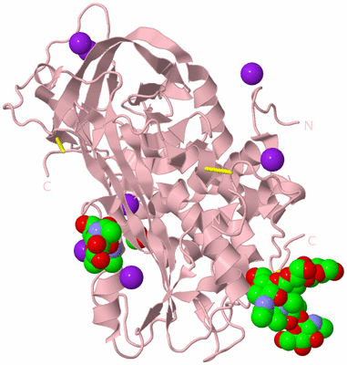 Image Biological Unit 3
