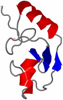 Image NMR Structure - model 1