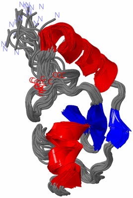 Image NMR Structure - all models