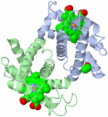 Image Asym./Biol. Unit