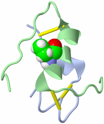 Image NMR Structure - model 1