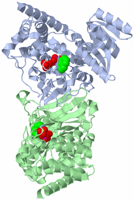 Image Asym./Biol. Unit