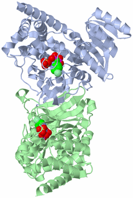 Image Asym./Biol. Unit