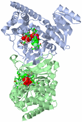 Image Asym./Biol. Unit - sites