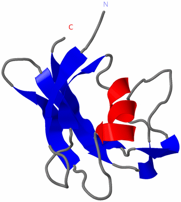 Image NMR Structure - model 1