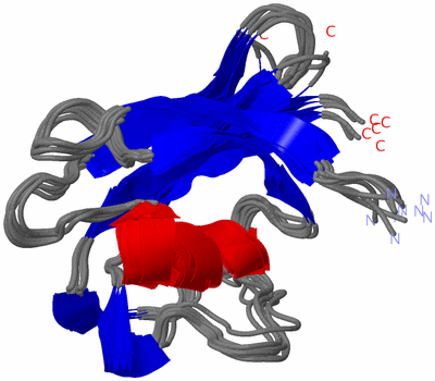 Image NMR Structure - all models