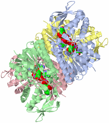 Image Asym./Biol. Unit