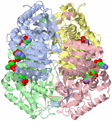 Image Asym./Biol. Unit