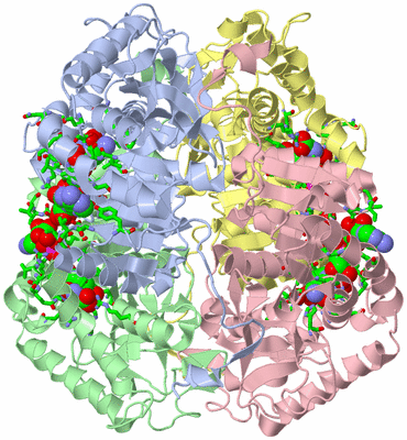 Image Asym./Biol. Unit - sites