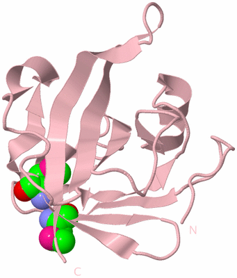 Image Biological Unit 3