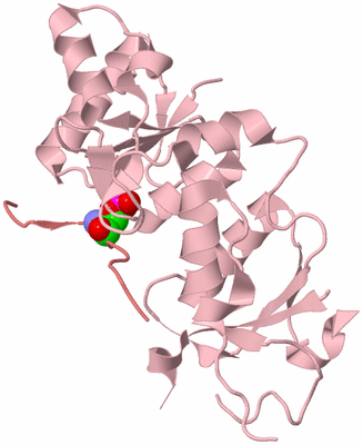 Image Biological Unit 3