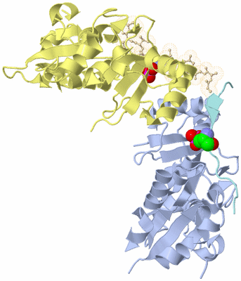 Image Biological Unit 6