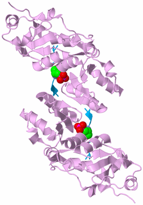 Image Biological Unit 7