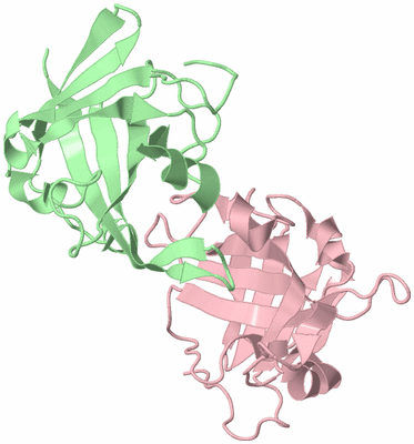 Image Biological Unit 4