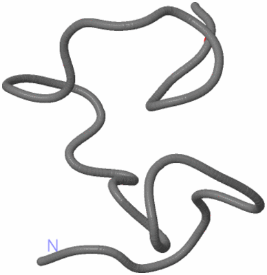 Image NMR Structure - model 1