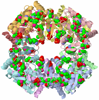 Image Asym./Biol. Unit