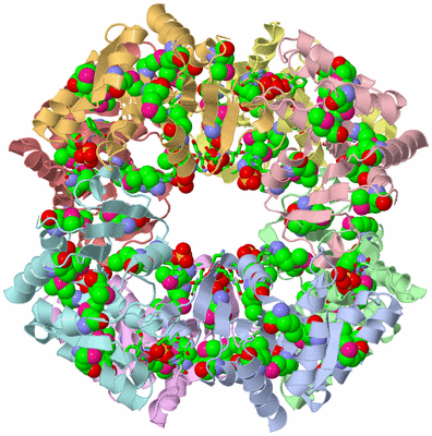 Image Asym./Biol. Unit - sites