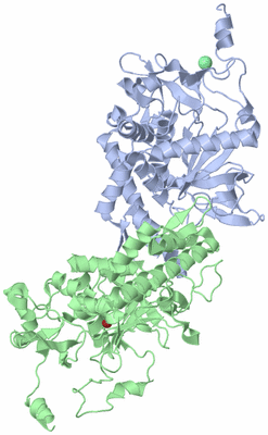 Image Asym./Biol. Unit