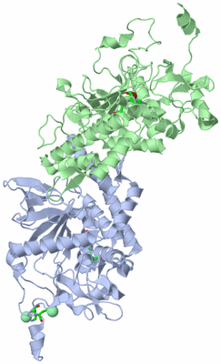 Image Asym./Biol. Unit - sites