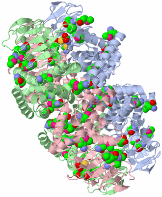 Image Biological Unit 1