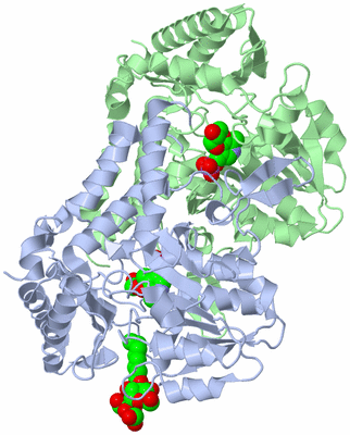 Image Asym./Biol. Unit