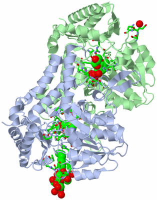 Image Asym./Biol. Unit - sites