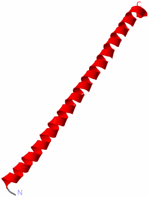 Image Asymmetric Unit