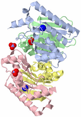 Image Asym./Biol. Unit