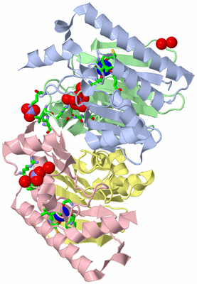 Image Asym./Biol. Unit - sites