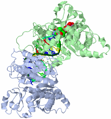 Image Biological Unit 1