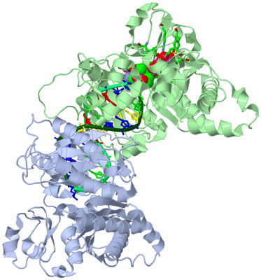 Image Biol. Unit 1 - sites