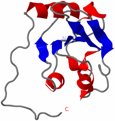 Image NMR Structure - model 1