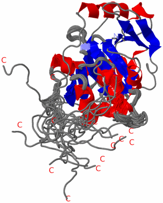 Image NMR Structure - all models