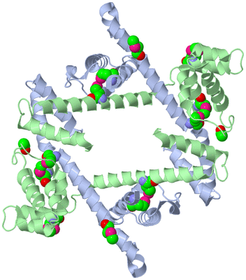 Image Biological Unit 3