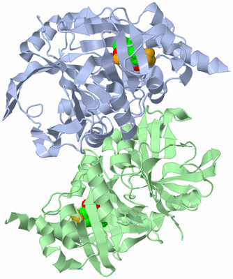 Image Asym./Biol. Unit