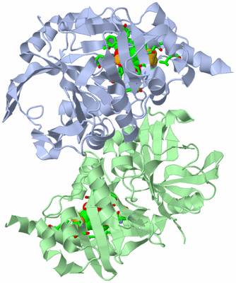 Image Asym./Biol. Unit - sites