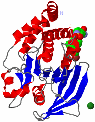 Image Asym./Biol. Unit