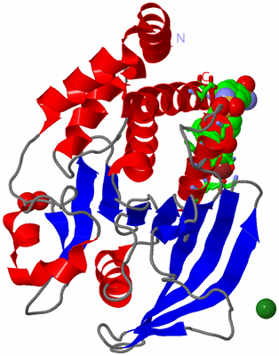 Image Asym./Biol. Unit - sites