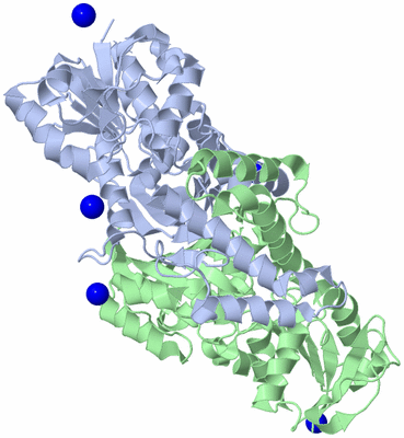 Image Asym./Biol. Unit