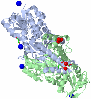 Image Asym./Biol. Unit - sites