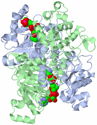 Image Asym./Biol. Unit