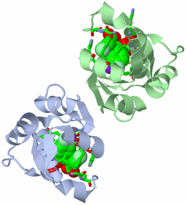 Image Asym./Biol. Unit - sites