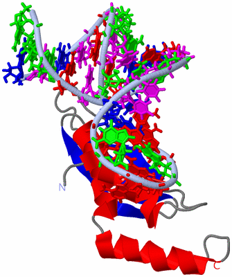 Image NMR Structure - model 1