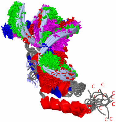 Image NMR Structure - all models