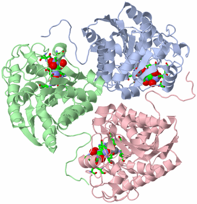 Image Asym./Biol. Unit - sites