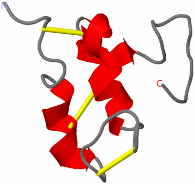 Image NMR Structure - model 1